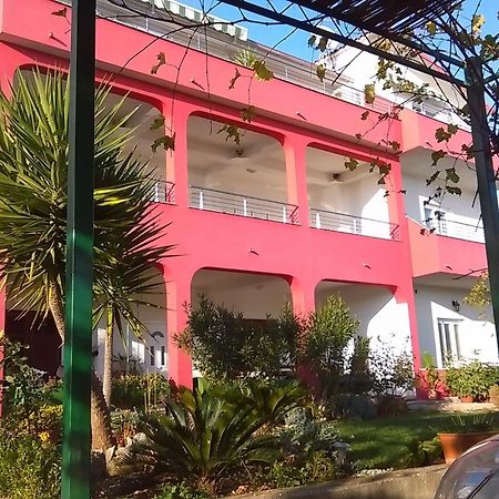 Apartments Mare - 30 M From Pebble Beach Seget Vranjica Esterno foto